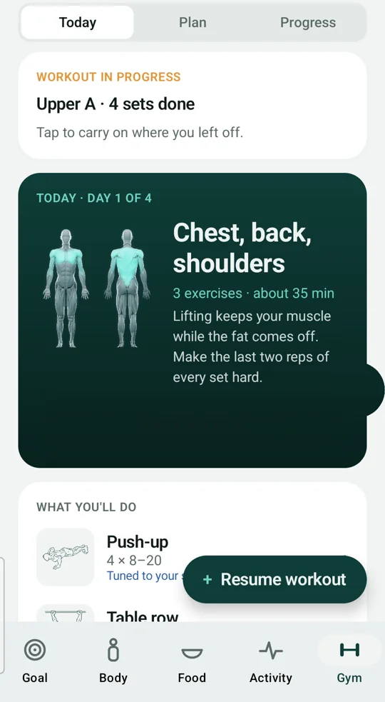 Everhale Gym tab showing today's chest, back and shoulders session with the muscles lit on a body map